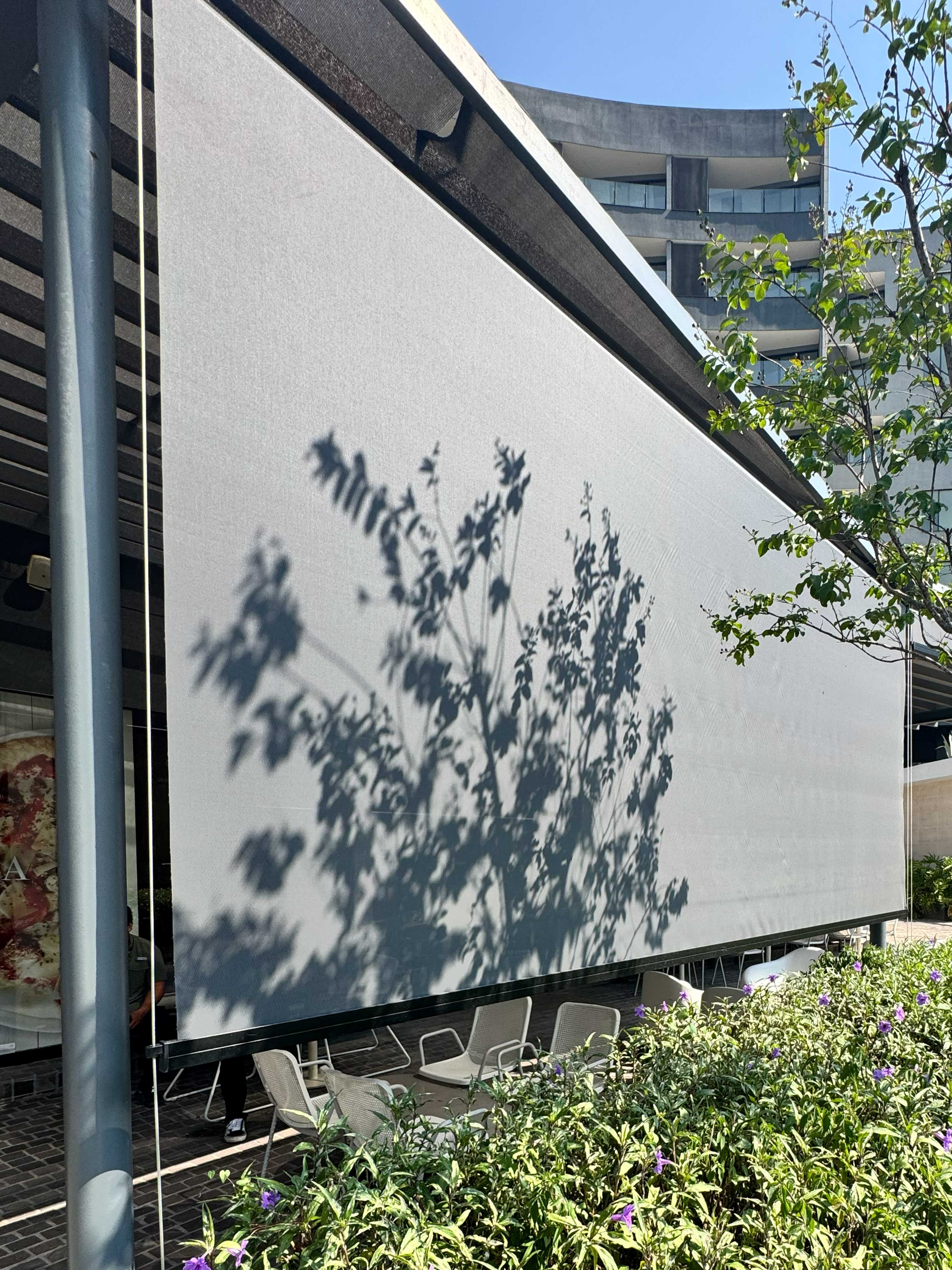 Proyecto arquitectónico